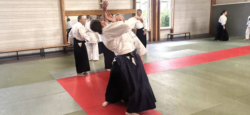 Stage Luc Mathevet Shihan – 20 avril 2024 – 04