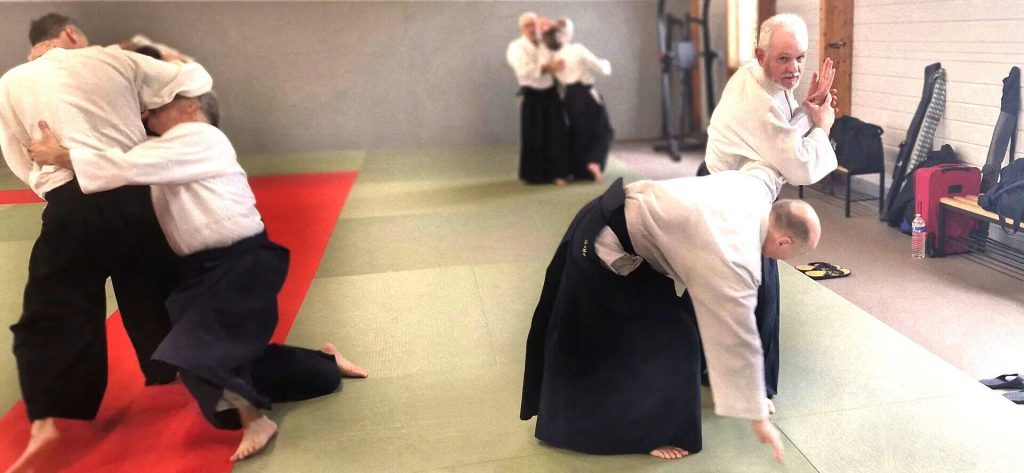 Stage Luc Mathevet Shihan – 20 avril 2024 – 07