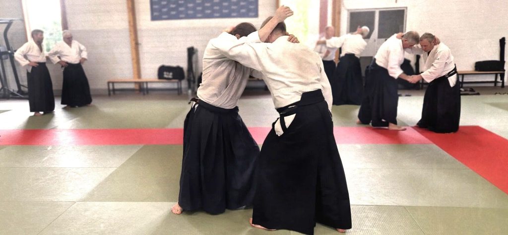 Stage Luc Mathevet Shihan – 20 avril 2024 – 10