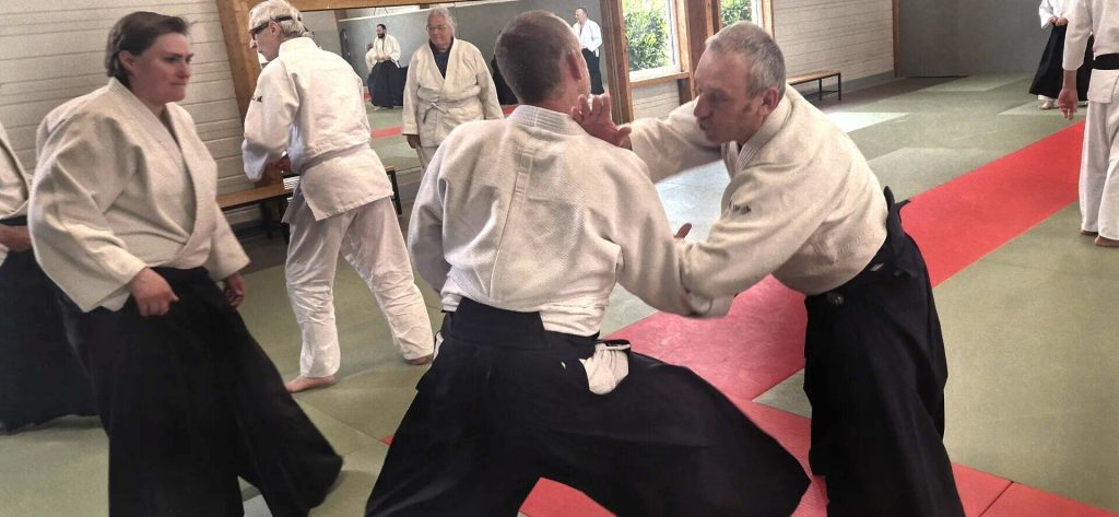 Stage Luc Mathevet Shihan – 20 avril 2024 – 12