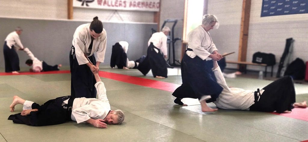 Stage Luc Mathevet Shihan – 20 avril 2024 – 16