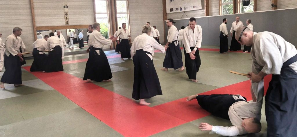 Stage Luc Mathevet Shihan – 20 avril 2024 – 17
