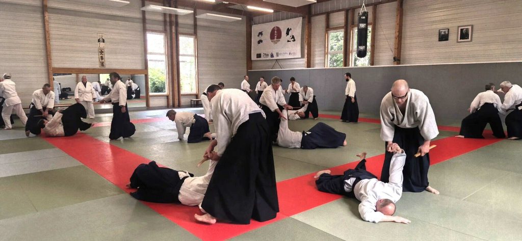 Stage Luc Mathevet Shihan – 20 avril 2024 – 18